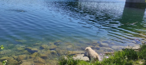 k-IMG 20210509 092309