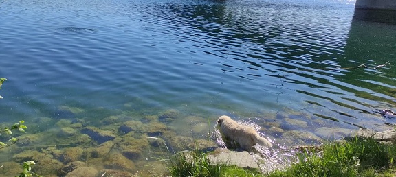 k-IMG 20210509 092310