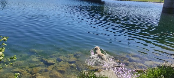 k-IMG 20210509 092311