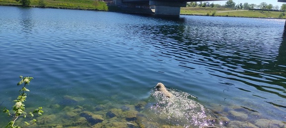 k-IMG 20210509 092312