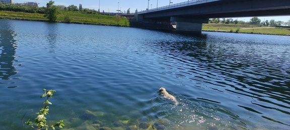 k-IMG 20210509 092313 1