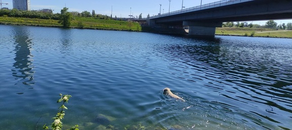 k-IMG 20210509 092314