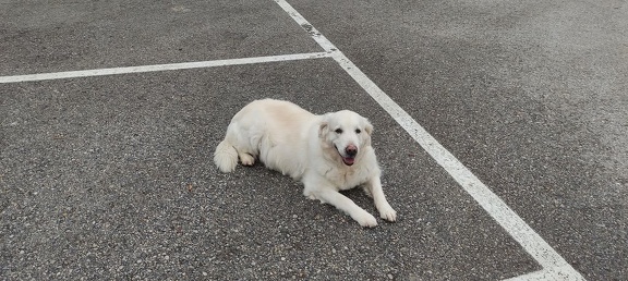 k-IMG 20210219 133246