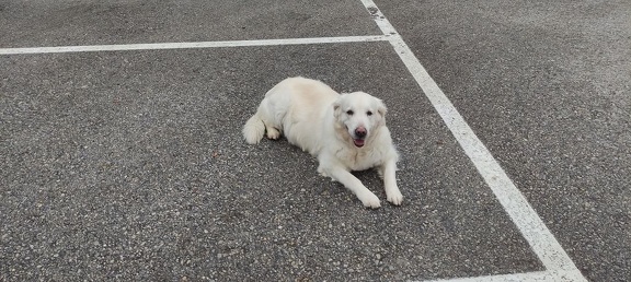 k-IMG 20210219 133247