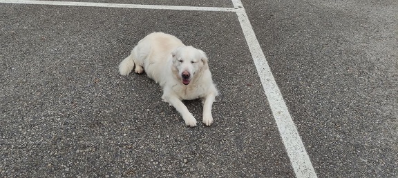 k-IMG 20210219 133248