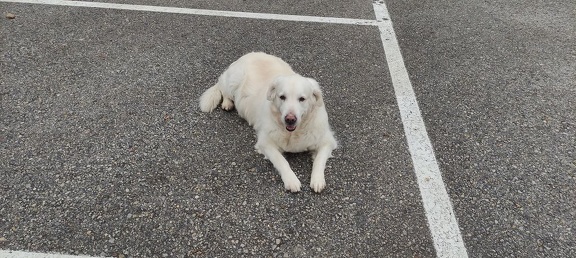 k-IMG 20210219 133248 1