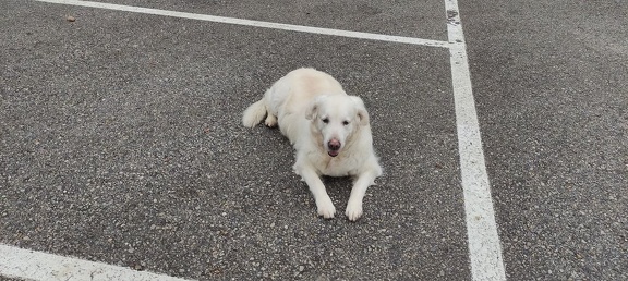 k-IMG 20210219 133249