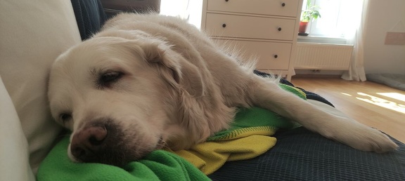 k-IMG 20210301 115745