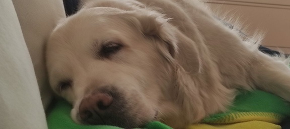 k-IMG 20210301 115802