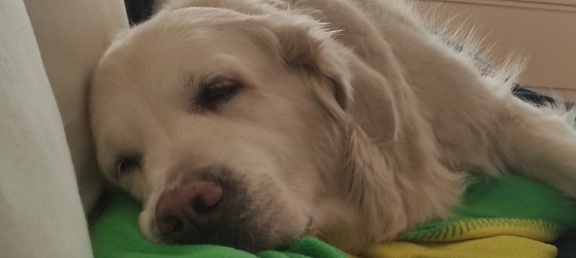 k-IMG 20210301 115805