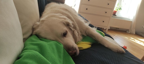 k-IMG 20210301 115821