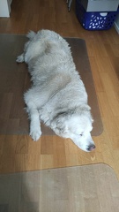 k-IMG-20210820-WA0006