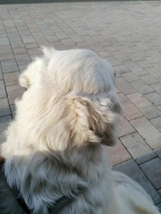 k-IMG 20210504 183129