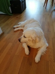 k-IMG 20210711 115851