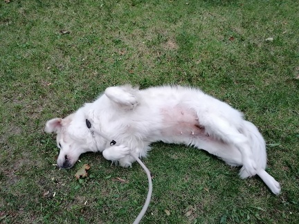 k-IMG 20210920 182015