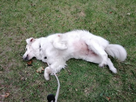 k-IMG 20210920 182016