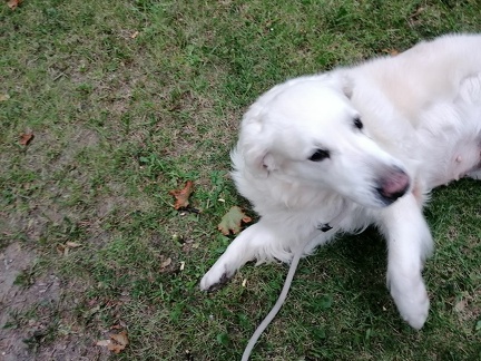 k-IMG 20210920 182019