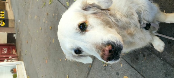 k-IMG 20211015 131130