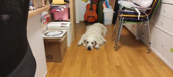 k-IMG 20211021 172919