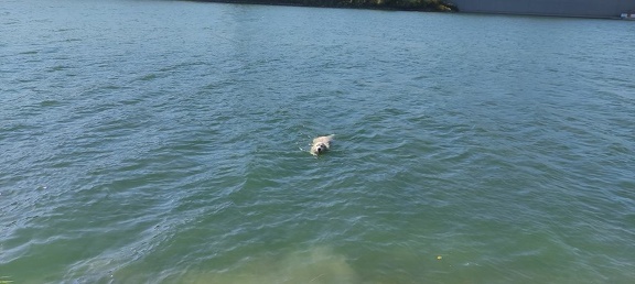 k-IMG 20211024 132240