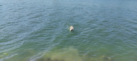 k-IMG 20211024 132241