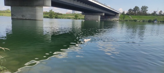 k-IMG 20210820 121318