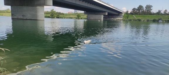 k-IMG 20210820 121319