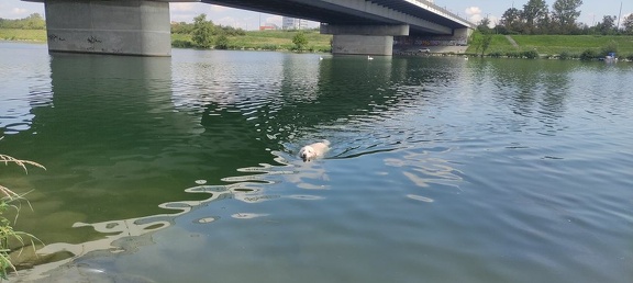 k-IMG 20210820 121321