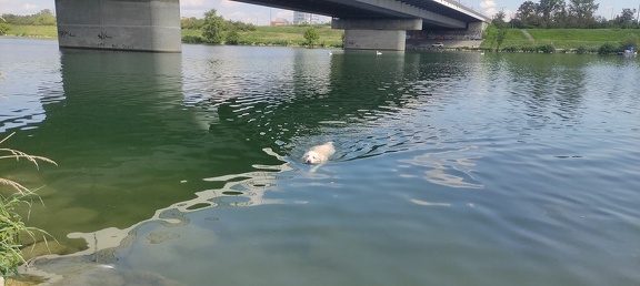 k-IMG 20210820 121322