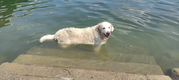 k-IMG 20210820 124021