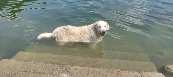 k-IMG 20210820 124021 1