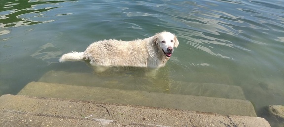 k-IMG 20210820 124022