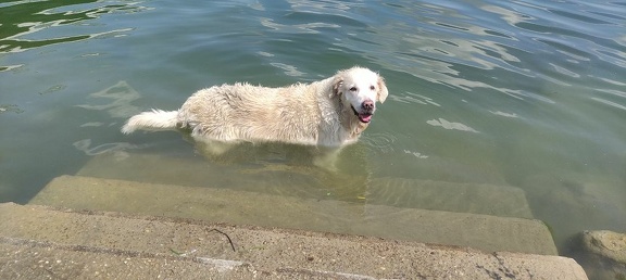 k-IMG 20210820 124022 1