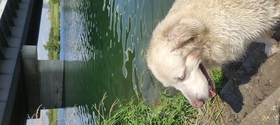 k-IMG 20210820 124126