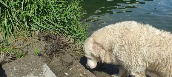 k-IMG 20210820 124132