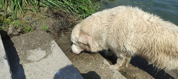 k-IMG 20210820 124133