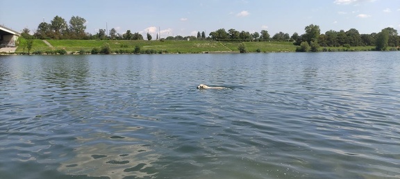 k-IMG 20210820 124247