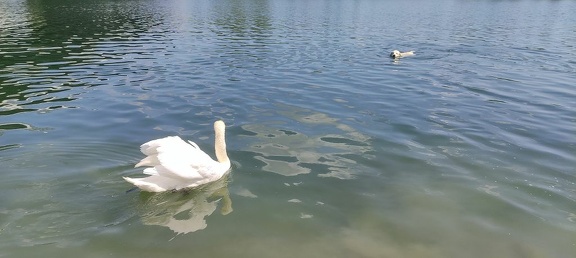 k-IMG 20210820 124250