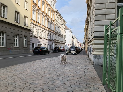 k-IMG 20220403 163444