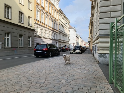 k-IMG 20220403 163449