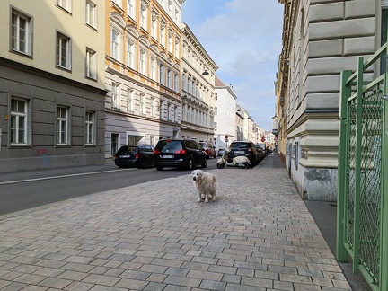 k-IMG 20220403 163450