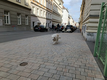 k-IMG 20220403 163501