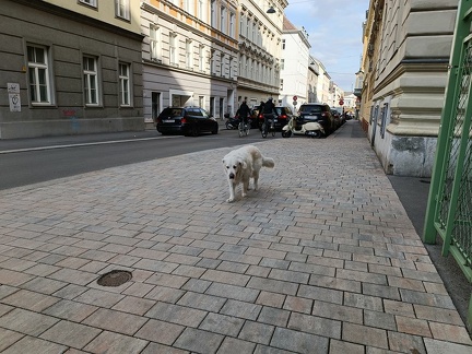 k-IMG 20220403 163502