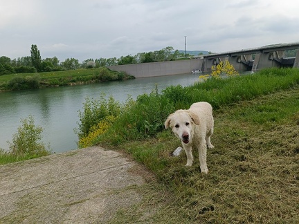 k-IMG 20220506 134951