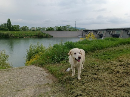 k-IMG 20220506 134951 1