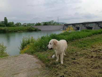 k-IMG 20220506 134952