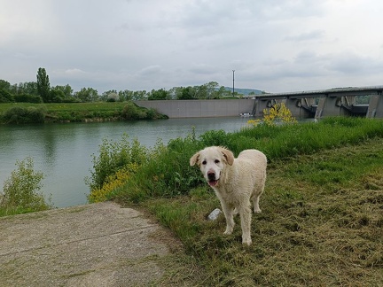 k-IMG 20220506 134954