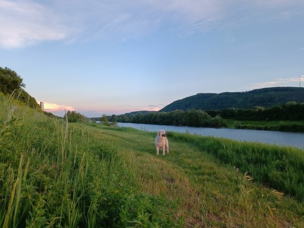 k-IMG 20220513 200328