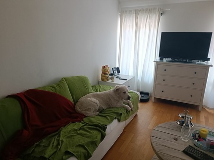 k-IMG 20220518 100931