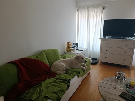 k-IMG 20220518 100934